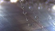 Fibers and drops