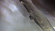 Fiber and 2 cells